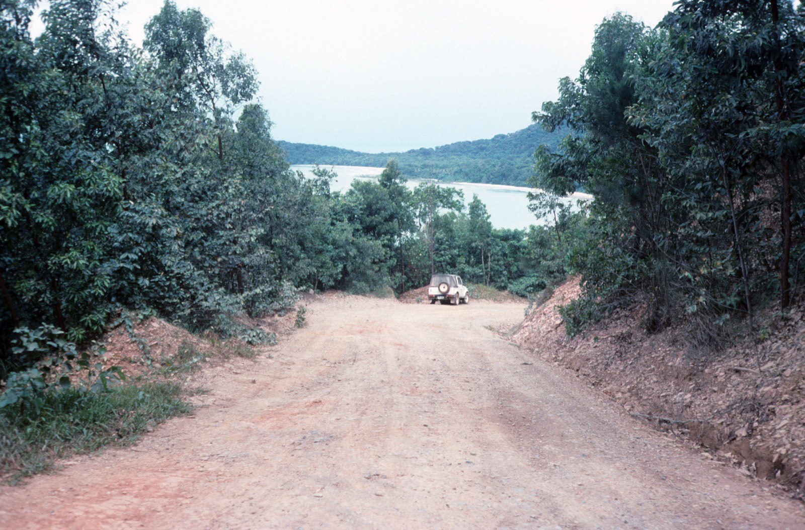 The Bloomfield Track near Cape Tribulation in 1989, three years after the convoy drove it north to Cooktown; its opening had provoked the protests that blocked the Old Coach Road.