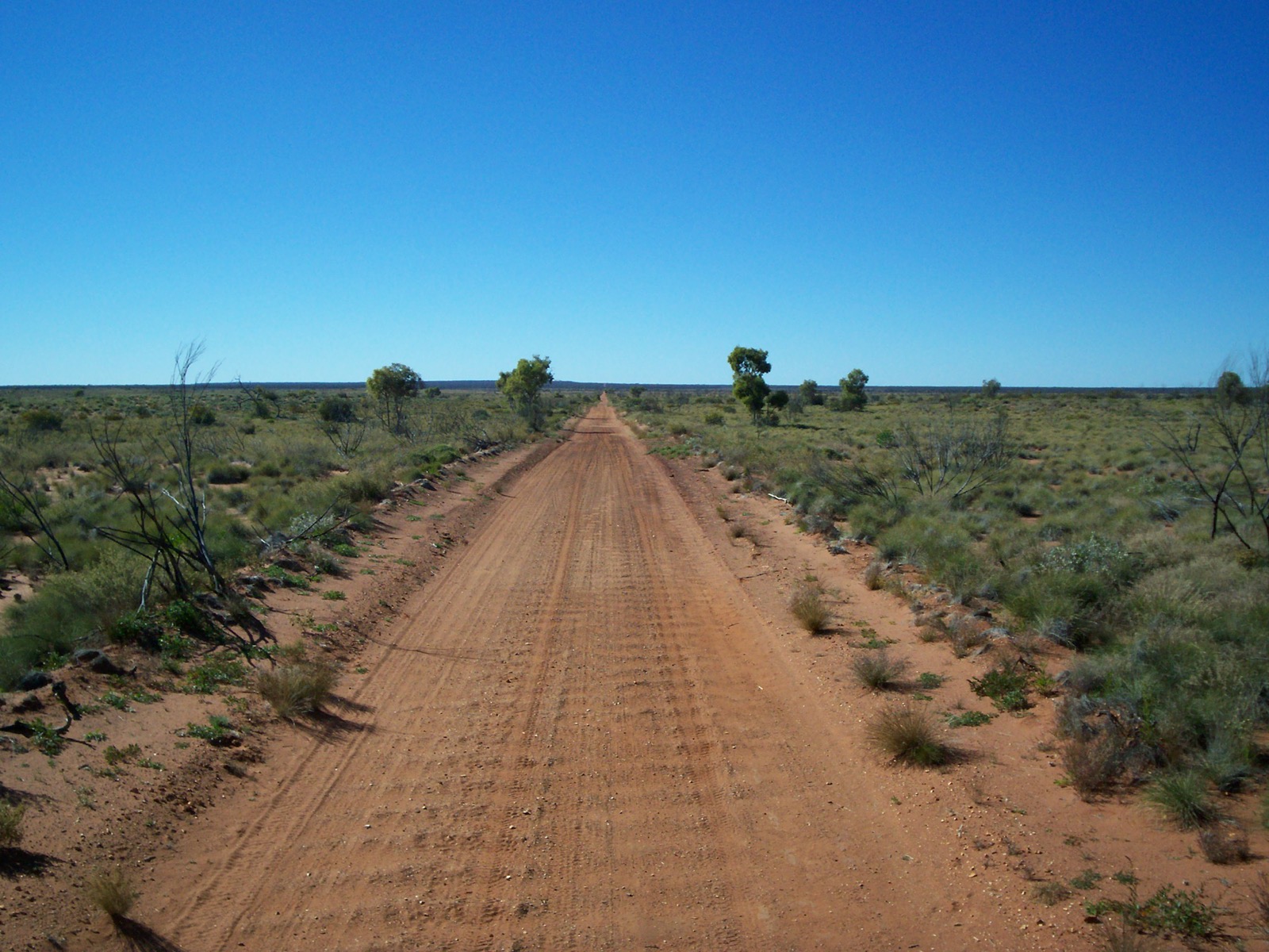 The Gunbarrel Highway in June 2007, 'as straight as a gun barrel' across the spinifex.