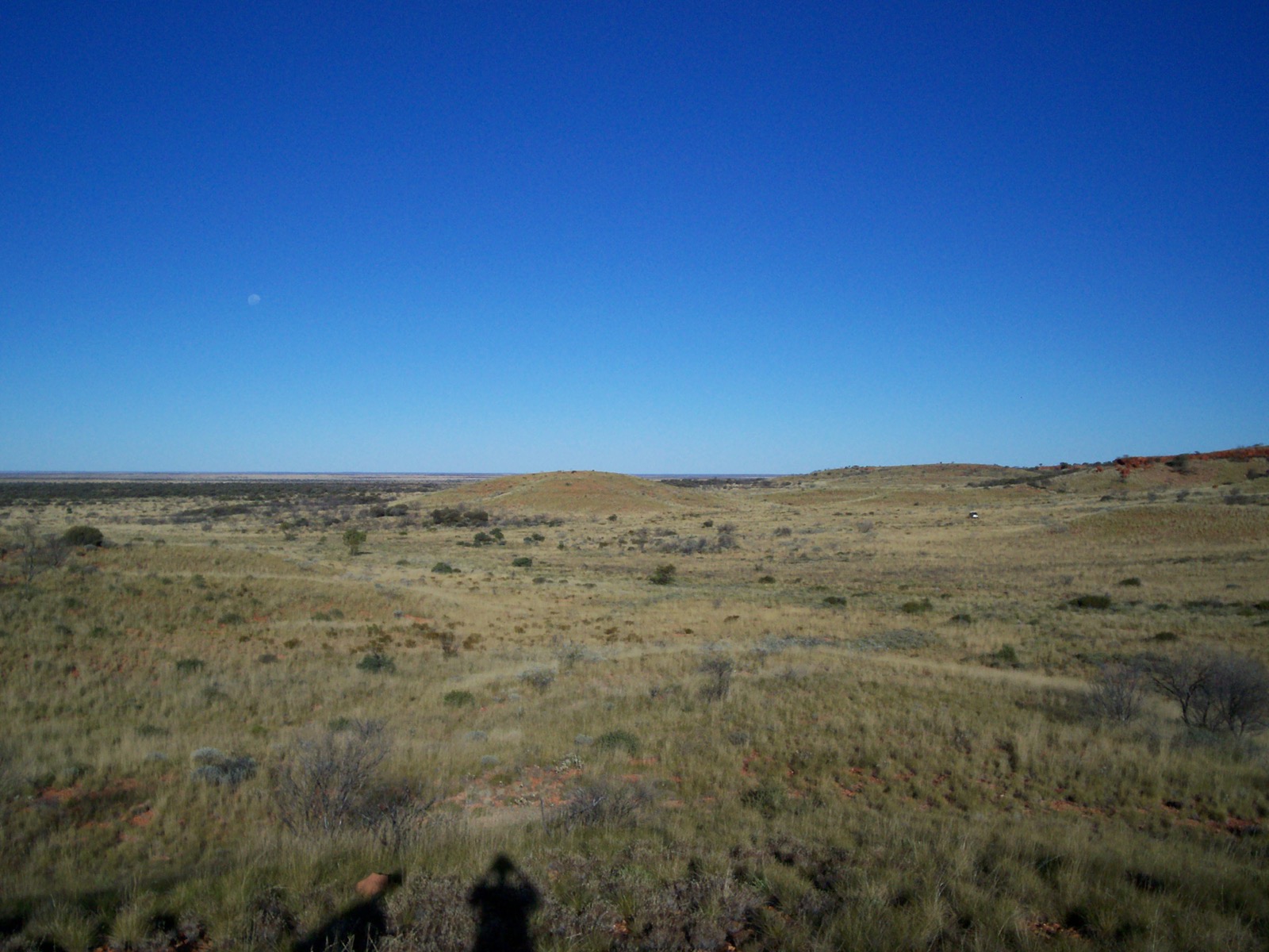 Spinifex country of the Gibson Desert from the Alfred and Marie Range, the country the 3rd Expedition worked along the Gunbarrel Highway in September 1965.