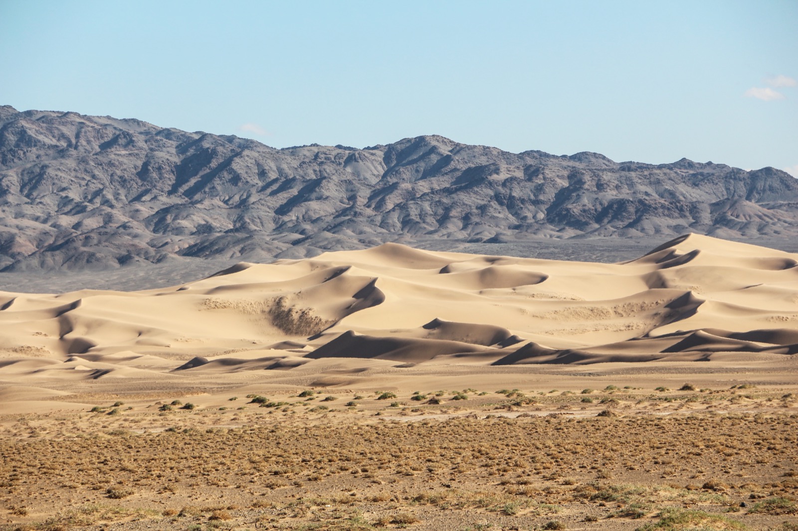 The Khongoryn Els, the Gobi's largest dunes, in Gobi Gurvansaikhan National Park — where Roxy stuck in the first valley in July 2008 and the sand ladders earned their keep.
