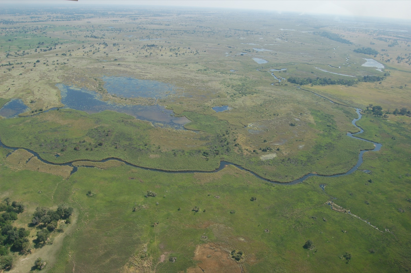 The Okavango Delta, the swamps the expedition crossed in search of the 'River Bushmen'.
