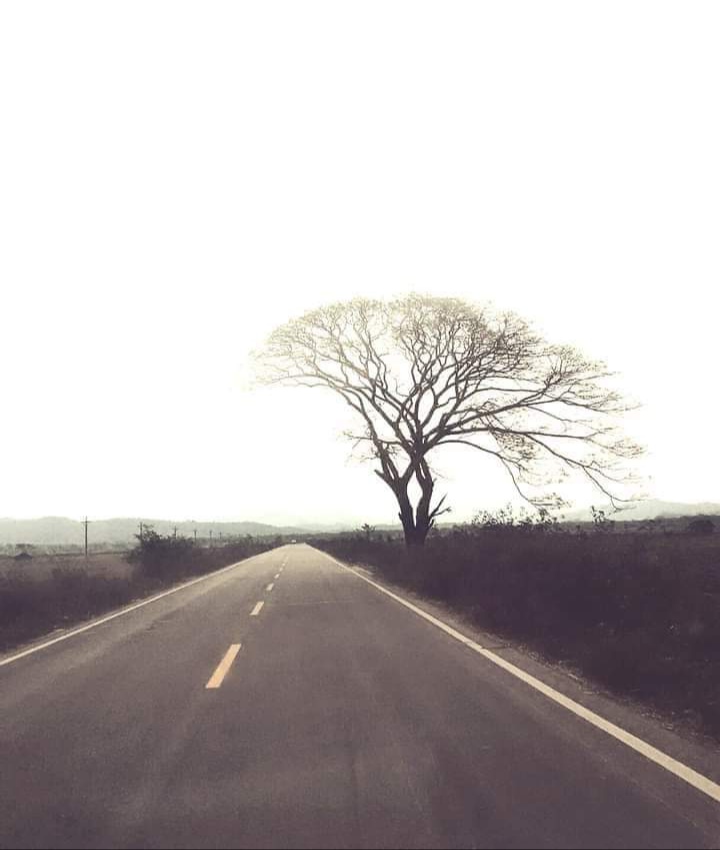 The Ledo Road today near Mogaung in Kachin State, Myanmar — concrete now, jungle track in 1955.