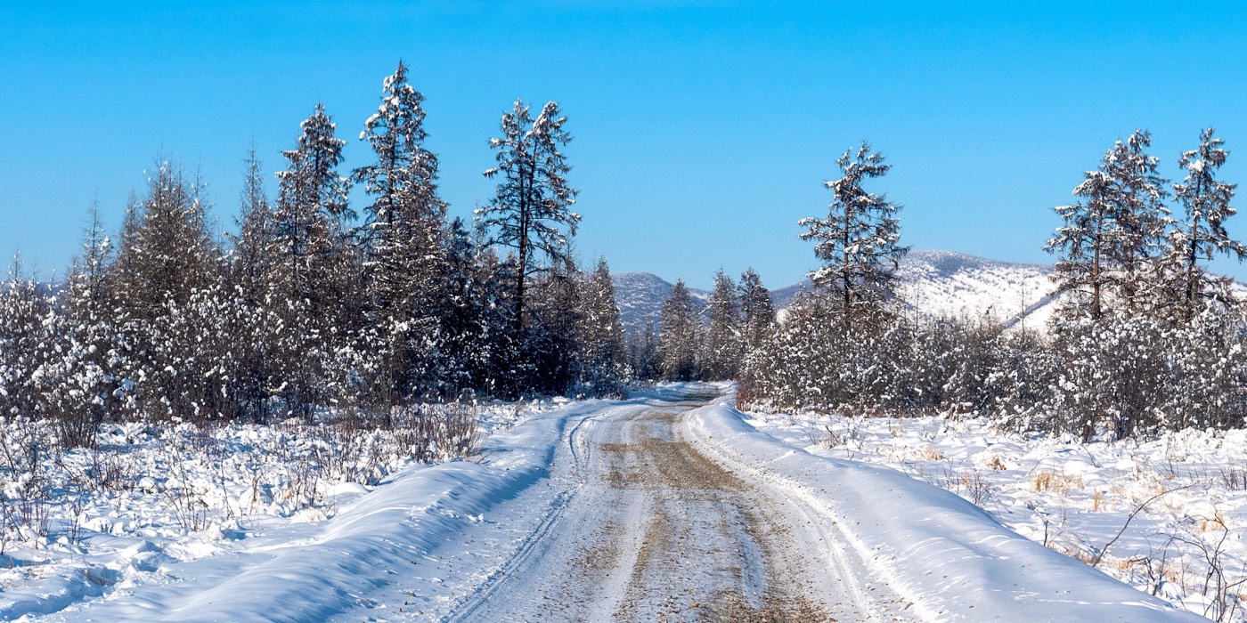 The winter road into Oymyakon, Sakha Republic, photographed in February 2019: larch, snow and the packed track the Defender followed to the Pole of Cold monument in January 2014.