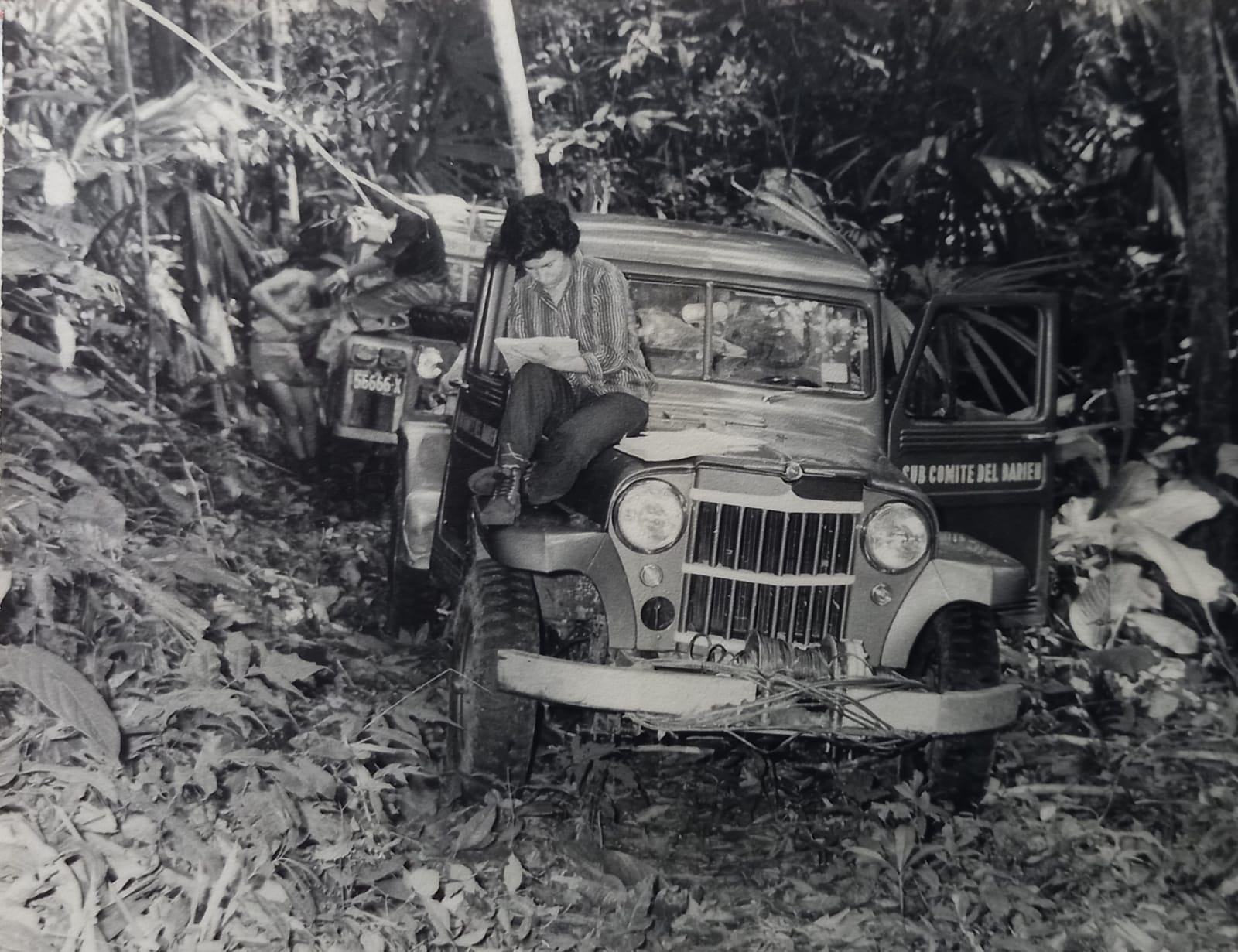 Reina Torres de Araúz writing on the bonnet of the expedition's Jeep pickup, lettered 'Sub Comité del Darién', in the Darién jungle in 1960; the second vehicle stands behind. Photograph by Amado Araúz.