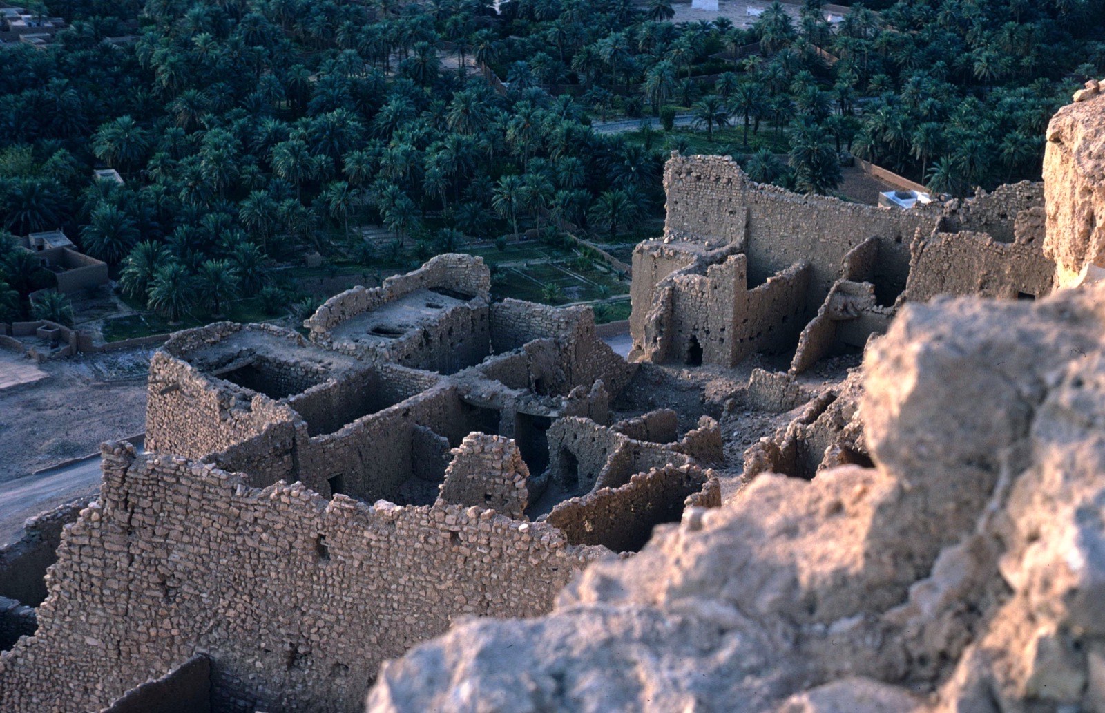 The old ksar and palm groves of El Goléa in the Algerian Sahara, photographed in 1970 — the oasis where the Transglobe land party met the thorny burrs and heard of the scorpions.