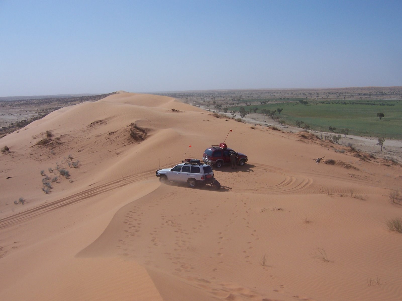 Modern four-wheel-drives on Big Red, the last of the Simpson Desert's sand ridges before Birdsville; the Leylands counted 1,105 of them in 22 days.